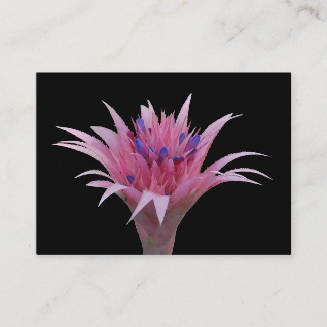 Rosor och blått Aechmea ACEO Visitkort (Framsida)