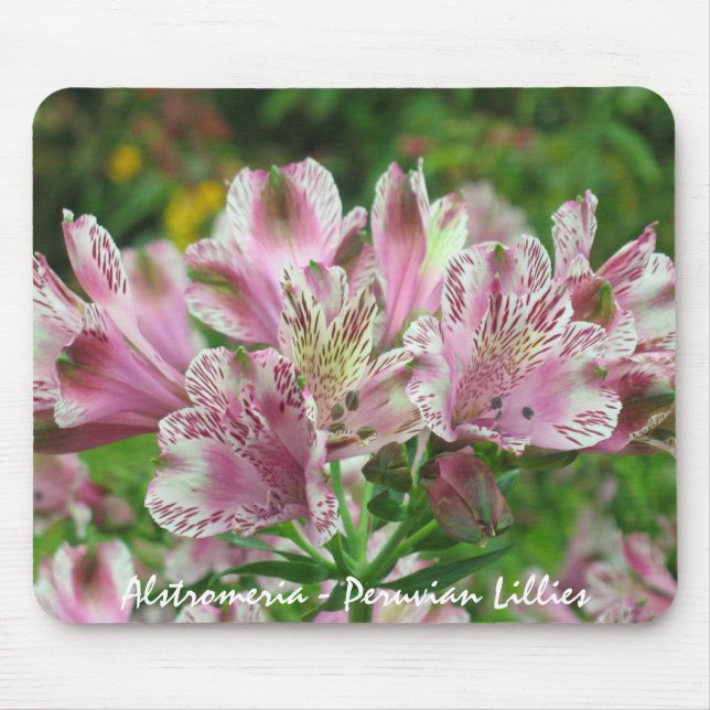 Rosor och vit Alstromeria Mousepad Musmatta (Framsidan)