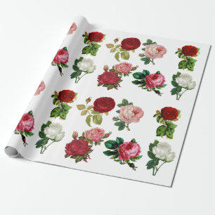 Rosor och vit ros för vintage som röda slår in presentpapper