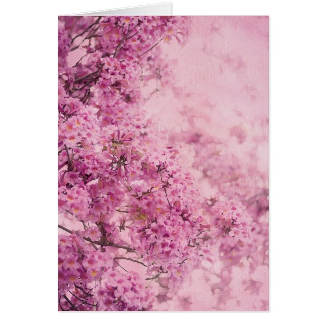 Rosor på rosor hälsningskort (Framsidan)