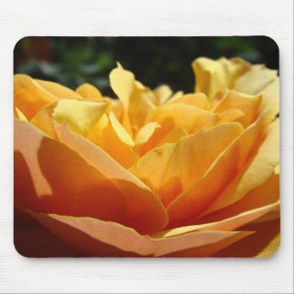 ROSOR, ROSBLOMMOR MUSMATTOR MUSMATTA