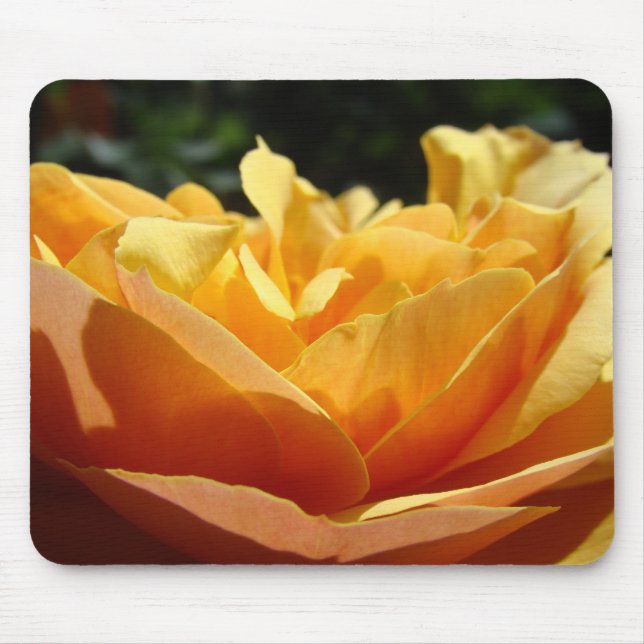 ROSOR, ROSBLOMMOR MUSMATTOR MUSMATTA (Framsidan)