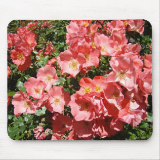 ROSOR, ROSBLOMMOR MUSMATTOR MUSMATTA