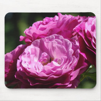 ROSOR, ROSBLOMMOR MUSMATTOR MUSMATTA