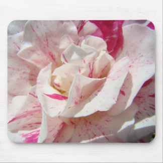 ROSOR, ROSBLOMMOR MUSMATTOR MUSMATTA