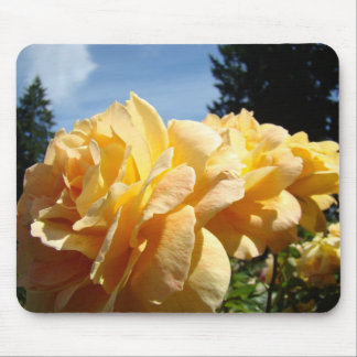 ROSOR, ROSBLOMMOR MUSMATTOR MUSMATTA
