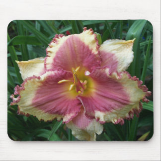 Rosor synad Daylily Mousepad Musmatta