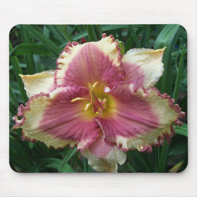 Rosor synad Daylily Mousepad Musmatta (Framsidan)