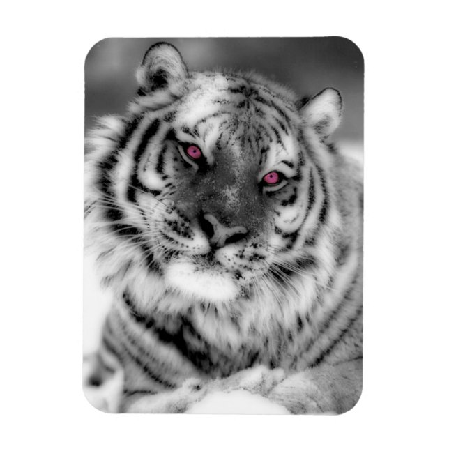Rosor synad tiger magnet (Vertikal)