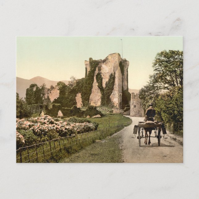 Ross Castle II, Killarney, Kerry Vykort (Framsida)