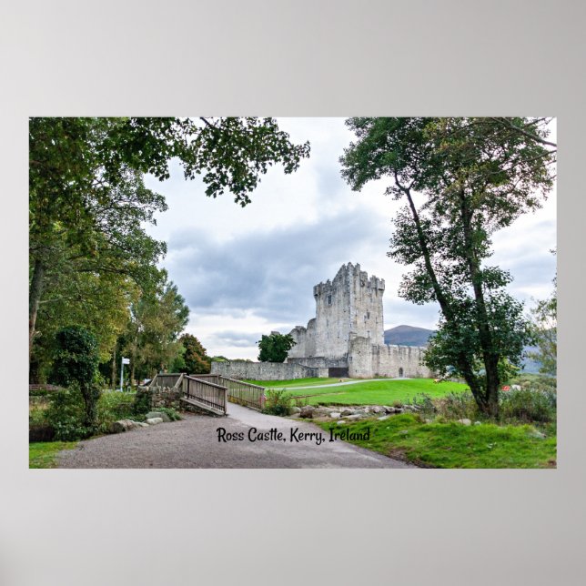 Ross Castle, Kerry, Irland, vykort Poster (Framsidan)