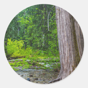 Ross Creek Cedars natursköna område Runt Klistermärke