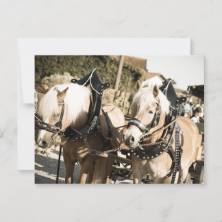 RÖSSER BEI HAAGER HERBSTFEST EINZUG VYKORT