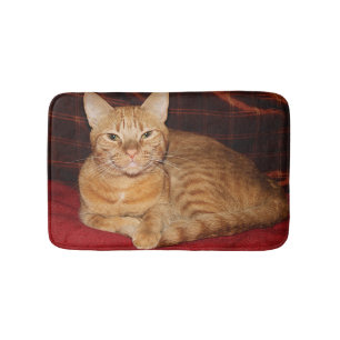 Rosta orange le för tabby katt badrumsmatta