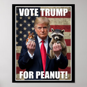 Rösta Trump Rättvisa För Fred Peanut Ekorren Mer Poster