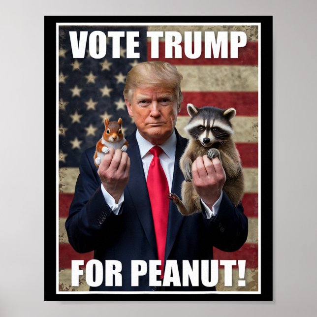 Rösta Trump Rättvisa För Fred Peanut Ekorren Mer Poster (Framsidan)