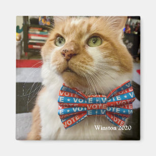Rösta Winston Magnet