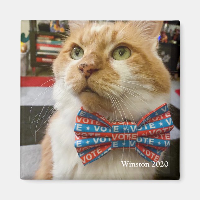 Rösta Winston Magnet (Framsidan)