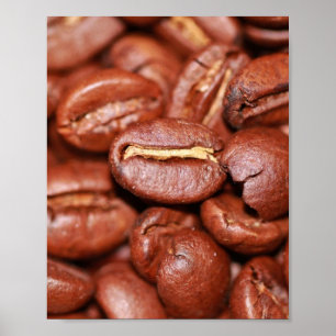 Rostat kaffebönor poster