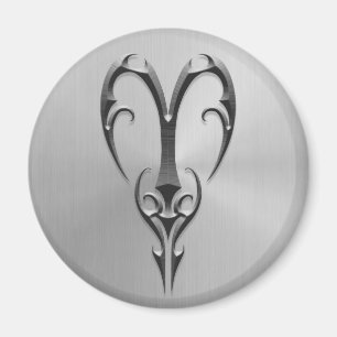 Rostfritt stålvädursymbol magnet