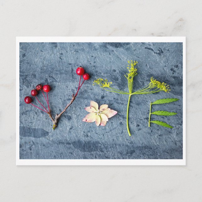 Röstkort Vykort (Framsida)