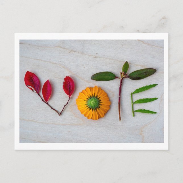 Röstkort Vykort (Framsida)