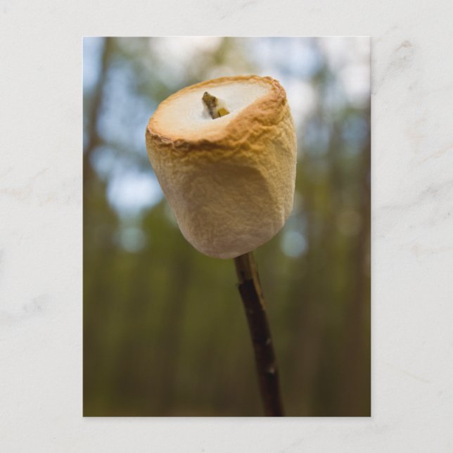 Rostmarmallow Vykort (Framsida)