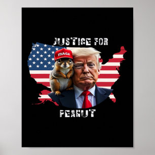 Röstrumpa för jordnöt 4 poster
