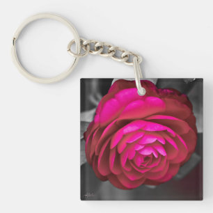 Rosy Camellia
