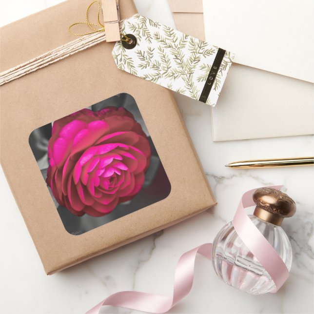 Rosy Camellia Fyrkantigt Klistermärke (Gifting)