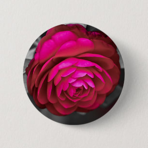 Rosy Camellia Knapp