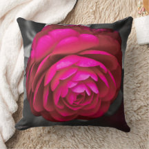 Rosy Camellia