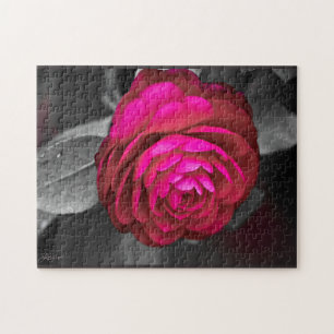 Rosy Camellia Pussel
