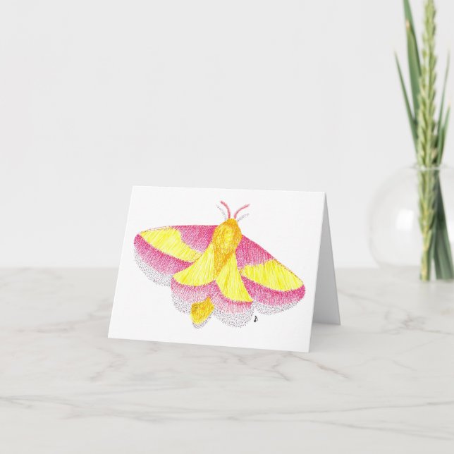 Rosy Maple Moth Kort (Framsida)