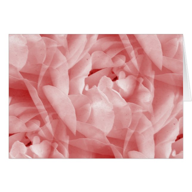 Rosy Ro Hälsningskort (Framsidan Horizontal)