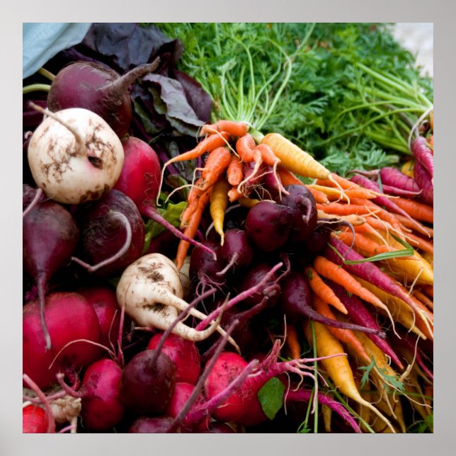 ROT! POSTER (Framsidan)