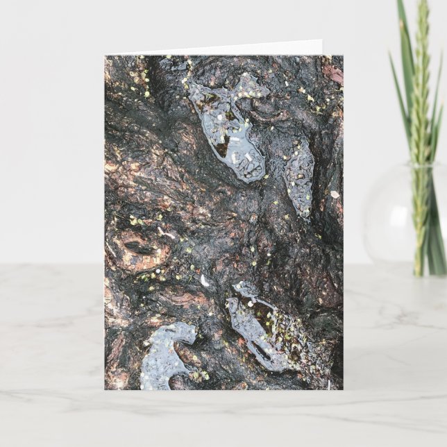 Rot Puddle Nature Fotography Träd, Rainy Day Kort (Framsida)