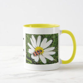 Rot-schwarzer Käfer auf weisser Margerite, Tasse Mugg
