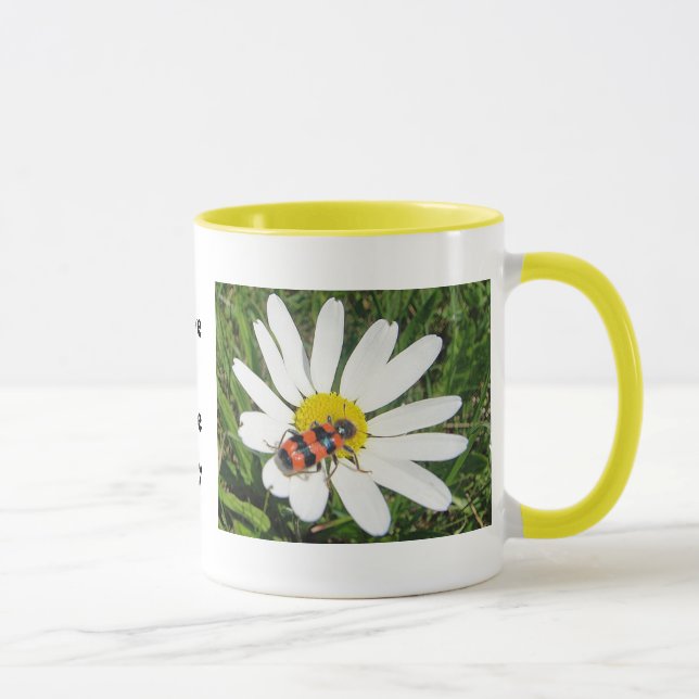 Rot-schwarzer Käfer auf weisser Margerite, Tasse Mugg (Höger)