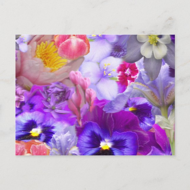 Rotaryträdgård Vykort (Framsida)