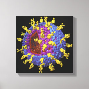 Rotavirus 2 canvastryck
