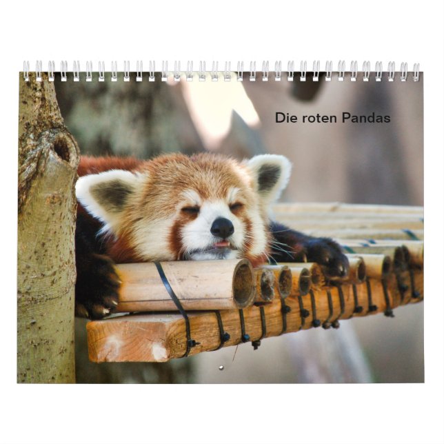 Rote Pandas Kalender (Omslag)