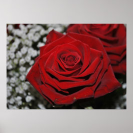 Rote Ro - Druck Poster