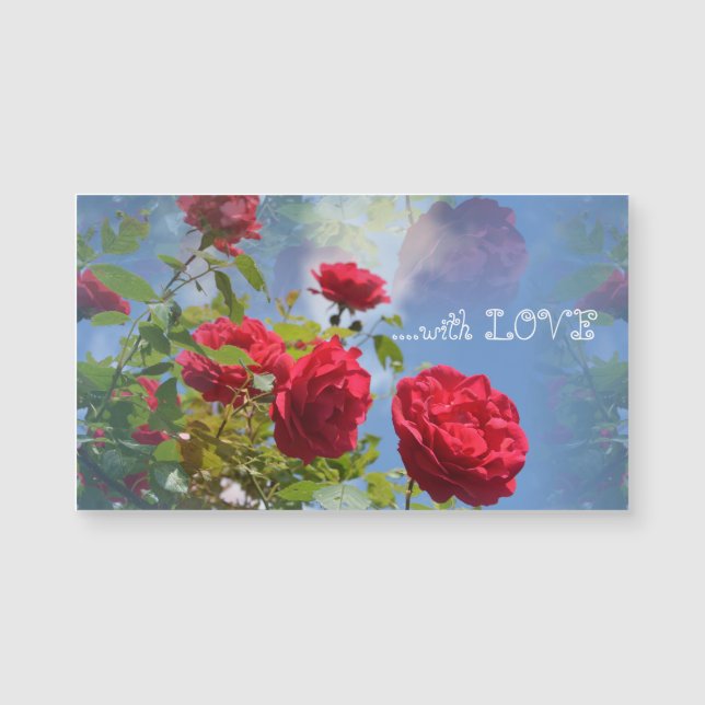 Rote Rosen für Dich ... (Framsida)