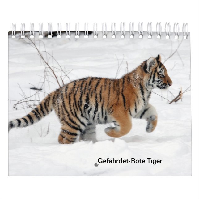 Rote Tiger als Kalender (Omslag)
