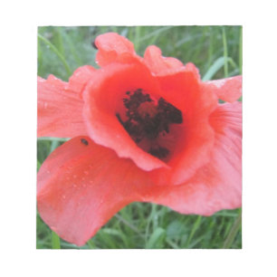 Roter Mohnblumenkelch Anteckningsblock