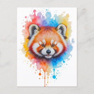 Roter Panda Vykort