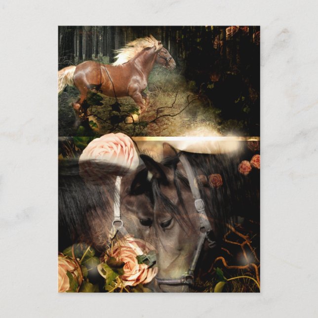 Roterad i Guds Kärlek Vykort (Framsida)