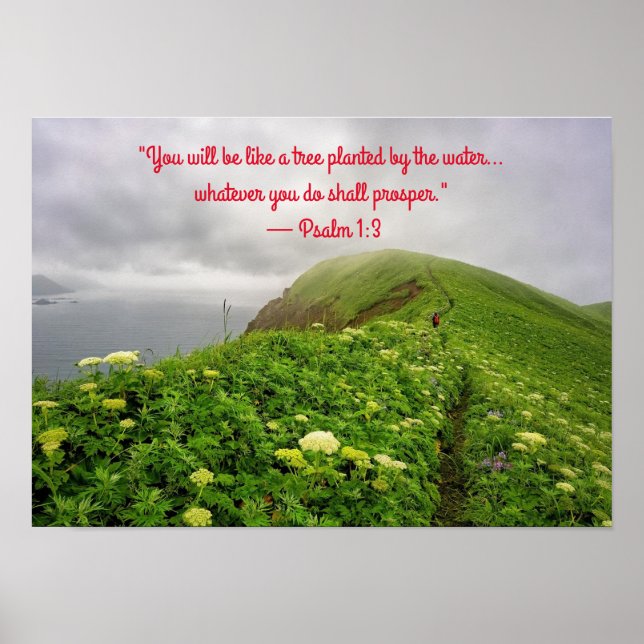 Roterade i Blessar Poster (Framsidan)