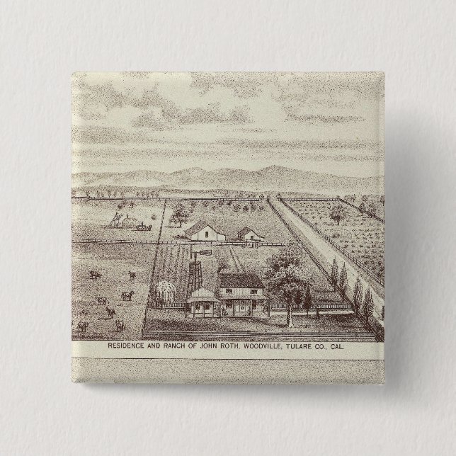 Roth, Skraggs-rancher Knapp (Framsida)